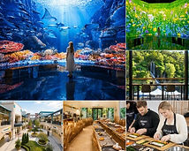Museum Hei, Paju Premium Outlets, Gimbap Making & Scenic Cafe Day Tour