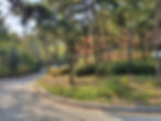 12. Path to Ansan Jarak-gil Trail - Road with view of Ansan Jarak-gil ahead