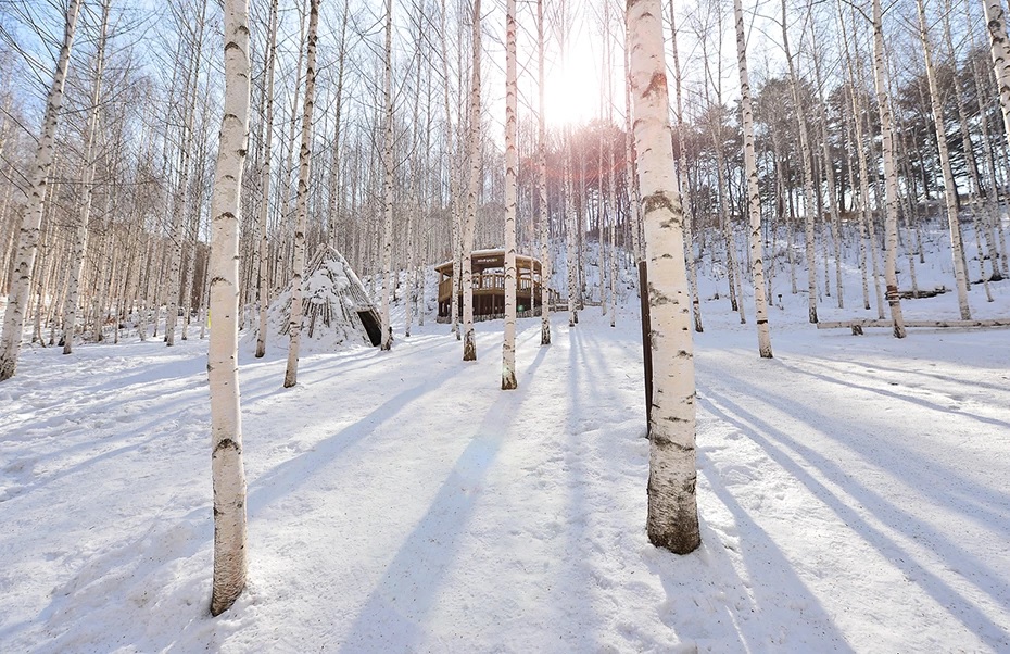 south korea winter scenery south korea winter scenery