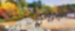 Nami Island | GANGWON, South Korea