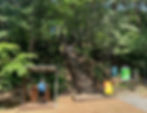 Seoul Grand Park - Forest Trail - Exit