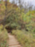 Ansan (Mt.) Summit descend towards Metasequoia Forest