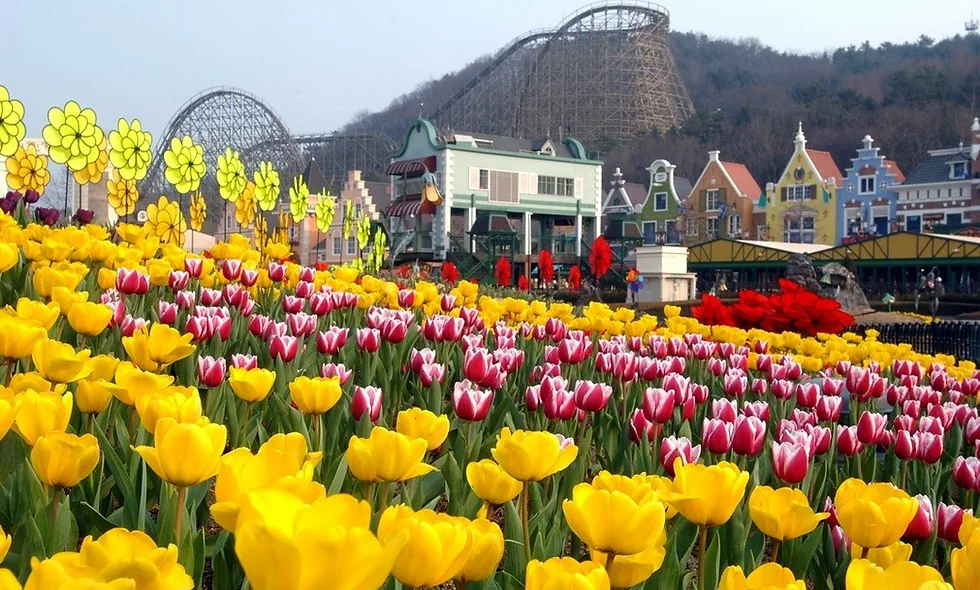 Everland Theme Park How To Go Guide Koreatodo