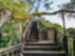 Dongbaekseom Island - Coastal Trail