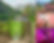 Nami Island, Petite France, Italian Village & Gangchon Rail Bike Day Tour