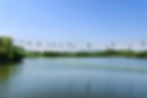 Seoul Grand Park - Gwacheon Lake & Sky Lift