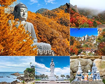 Seoraksan National Park & Naksansa Temple Day Tour