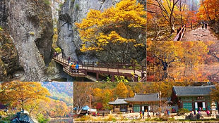 Mt. Juwangsan National Park Autumn Foliage Tour