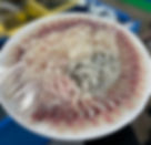 Gwangalli Beach - Millak Fisherman's Live Fish Market