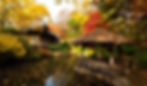 Korean Folk Village - Autumn