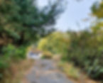 10. Path to Ansan Jarak-gil Trail