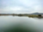 Seoul Grand Park - Gwacheon Lake