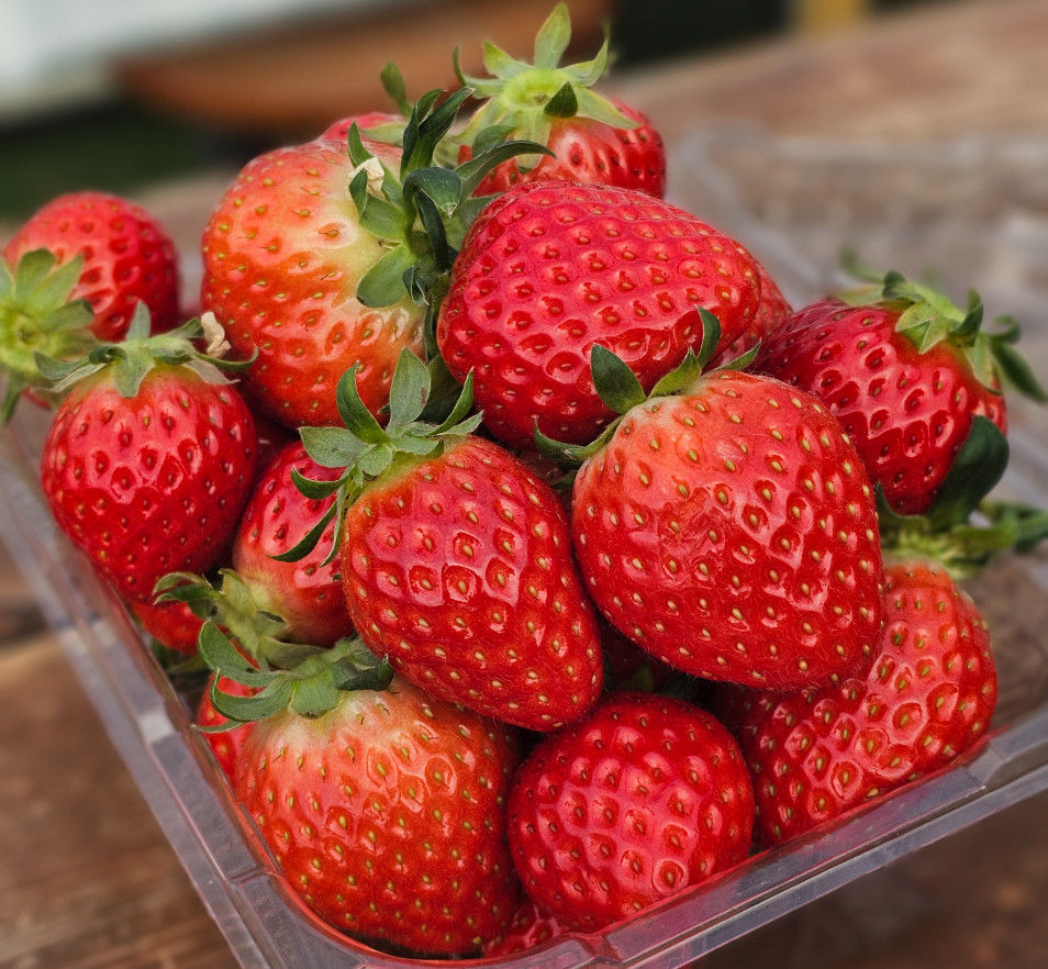 Bukhangang River Bicycle Path - Hansarang Strawberry Experience Farm