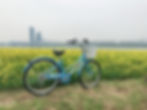 Top Places for Cherry Blossoms & Spring Flowers in Seoul - Hangang Seoraeseom Canola Festival