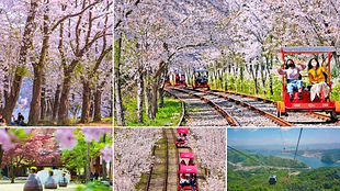 Samaksan Cable Car, Nami Island & Gapyeong Rail Bike Day Tour