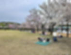 Seoul Grand Park - Picnics near Seoul Land & Gwacheon Lake