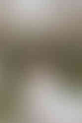 81EA43E5-3CBD-44DB-811E-23380D8BB080_1_105_c.jpeg