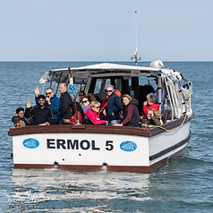 ermol