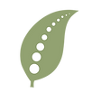 tlc filled in leaf