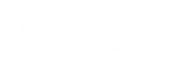 arrow again.png