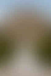 D34355F0-B549-47F7-A4C5-8AEFD9ED3D99_1_105_c.jpeg