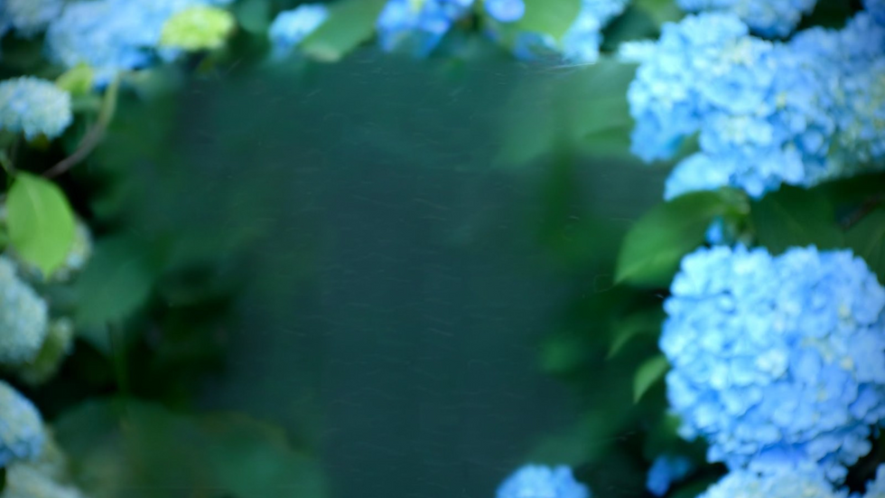 backgorund hy.png