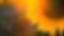 17.png