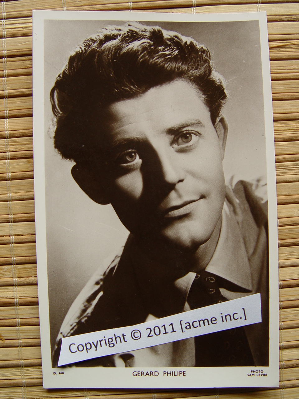 http://www.acme-inc.co.uk/websitepix/DSC050186.JPG