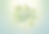 green.png