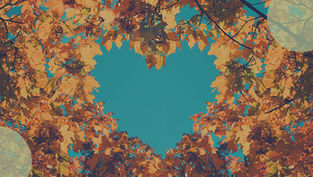 The Power of Love: Embracing a Heart-Centered Life