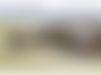 New Sanger High School renderings released