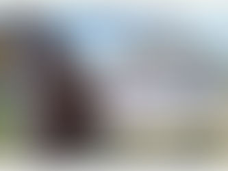 Local Farmers Market schedule: