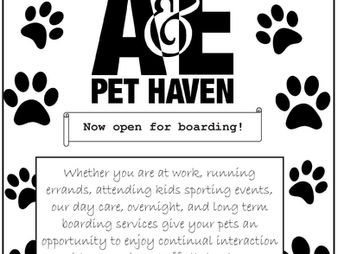 A&E Pet Haven Boarding