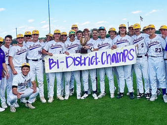 SHS Indians baseball advances in playoffs and to face Alvarado Indians in next round