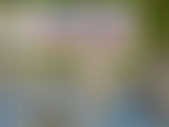 Bassmaster Classic takes place this week