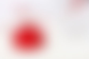 Nos meilleurs voeux pour 2026