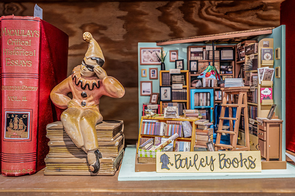 Bailey_Books_StAlbert_008