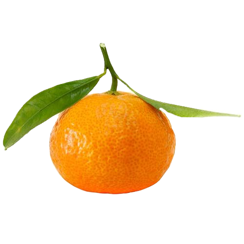 קלמנטינה