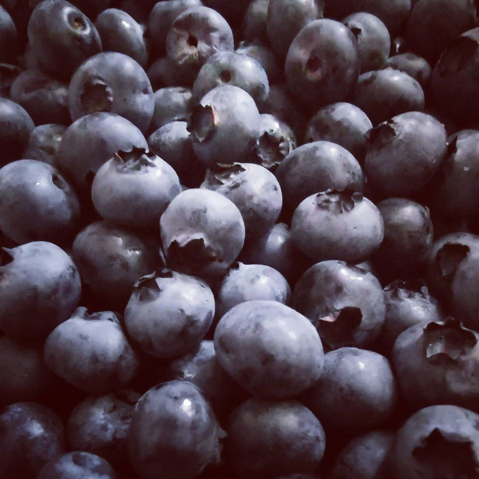 Miniatura: Frutta
