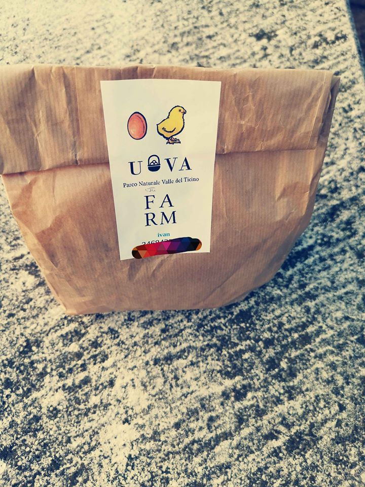Miniatura: Uova fresche, 🐔🥚 allevamento amatoriale 😊