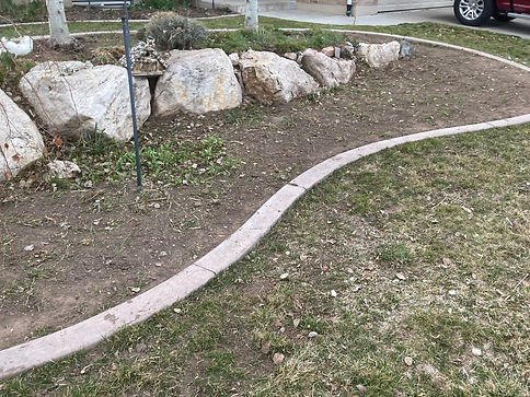 Garden after