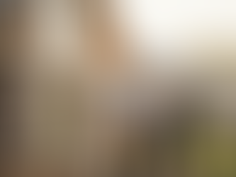 How Real Estate Bridge Funding Empowers Investors