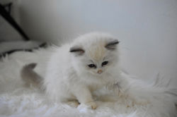 Photo Jul 21, 7 35 43 AM