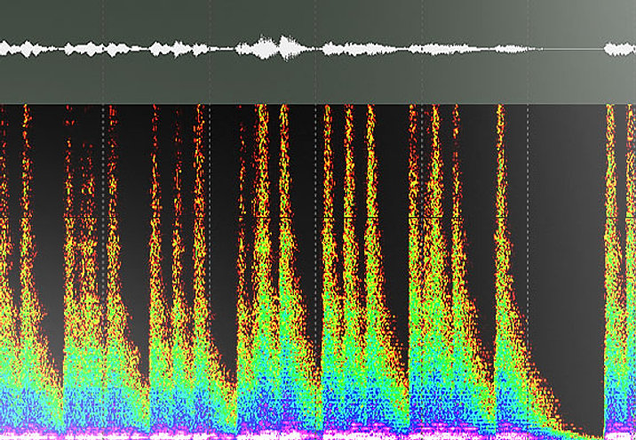 Pro Windows And Doors