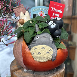 どんぐりガーデン共和国 仙台一番町店 | スタジオジブリ専門店仙台