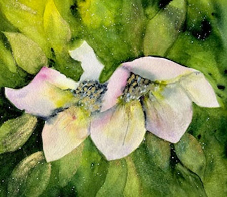 Image BAF 2024 Exhibitor - Judith Herdman.jpg
