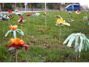 Одноденна виставка „Plants That Weren’t Here Before“