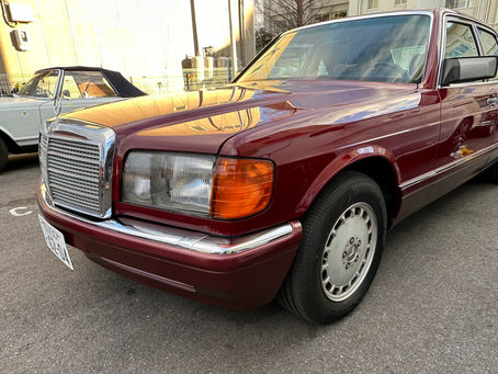 Barolo Red 540 — 心を奪う“赤”の正体は?