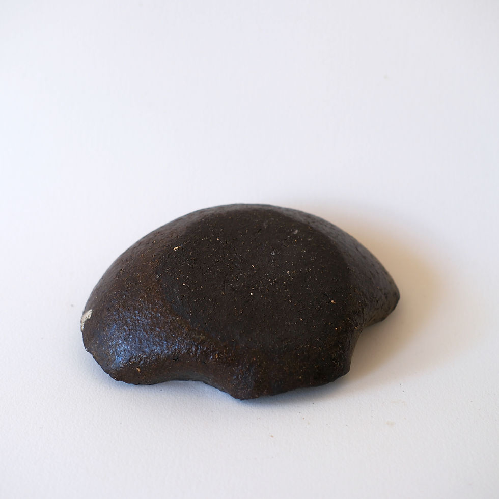 Thumbnail: Plate Shell Starry Lava #PL-SL-002