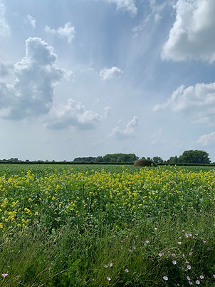IMG_9685.jpeg